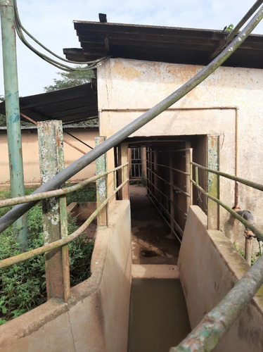 Imagen 25 de 27 de Se Vende Finca El Maitero Via El Sur De Monagas Ve02-1098vs-mtru