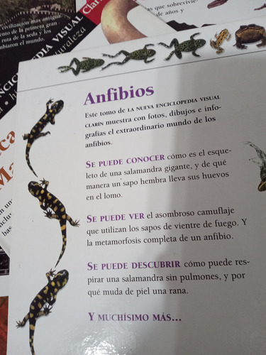 Nueva Enciclopedia Visual Clarin Completa Ciencia Historia N (Usado)