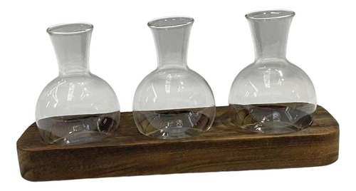 Jarrones De Hidropónicas, Macetero De Cristal Moderno Con