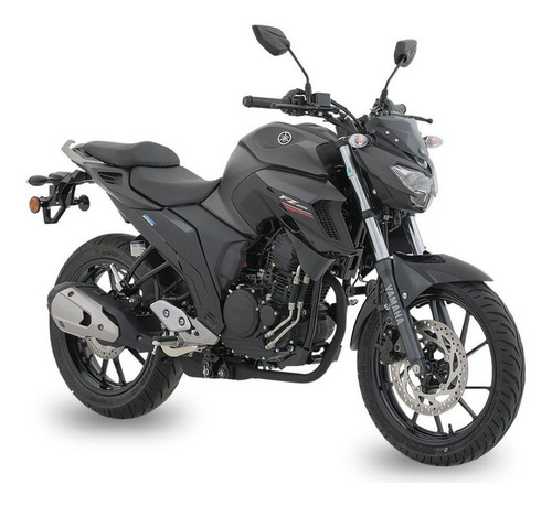 Imagen 2 de 13 de Motocicleta - Yamaha - Fz-250