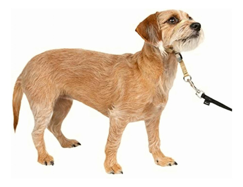 Petsafe Gentle Leader Collar Para Perro Sin Tirones, Fawn,