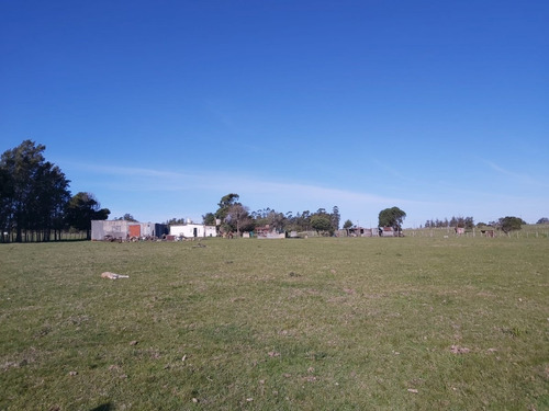 Venta Chacra Ruta 39 , 8 Has - Ref: 3416