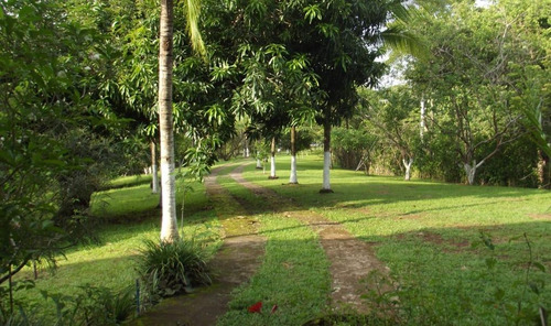 Se Vende Propiedad Rural Con Casa - For Sale House & Property Orotina