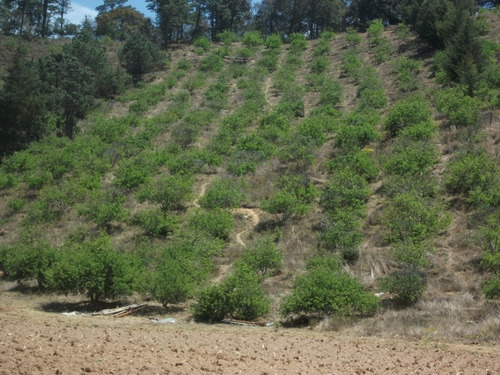 Imagen 2 de 8 de Terreno 32,000m² En San Joaquín Querétaro Con Escrituras