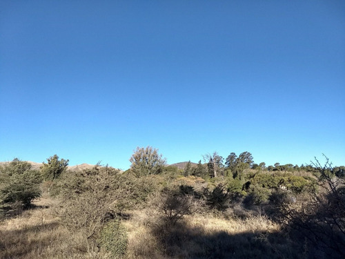 Imagen 7 de 30 de Terrenos En Las Sierras