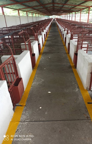 Imagen 15 de 17 de Complejo Porcino En Barquisimeto, Lara Operativo En Venta
