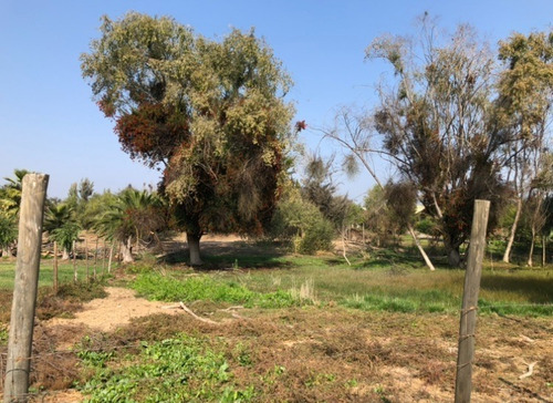Venta Parcela 1 Hect.con Casa Codigua Melipilla $110.000.000