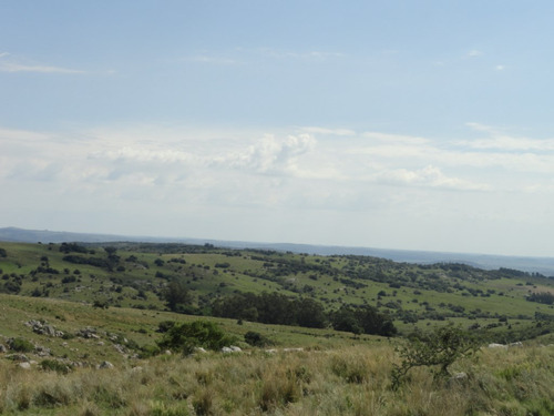 Campo En Venta En La Coronilla (ref: Atm-4270)
