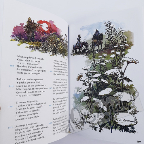Libro Martín Fierro · J. Hernández · Ilustrado Y Vocabulario