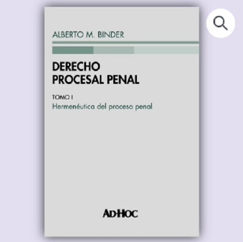 Derecho Procesal Penal. Tomo I (rust.) - Binder, Alberto