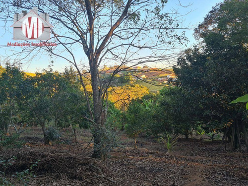 Imagem 10 de 30 de Ótima Chácara Com 4 Dormitórios, Edícula, Salão De Jogos, Pomar, Horta, Bem Localizada, À Venda, 5000 M² Por R$ 630.000 - Zona Rural - Pinhalzinho/sp - Ch0984