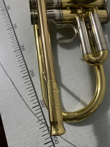 Roy Benson Tr-403 Trompeta Si Bemol Latón Laca C/estuche Dorado (Usado)
