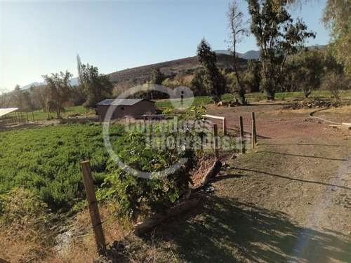 Agrícola En Venta En Combarbalá