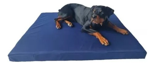 Cama Para Perro Chica Impermeable  45x45x10cm  Resistente