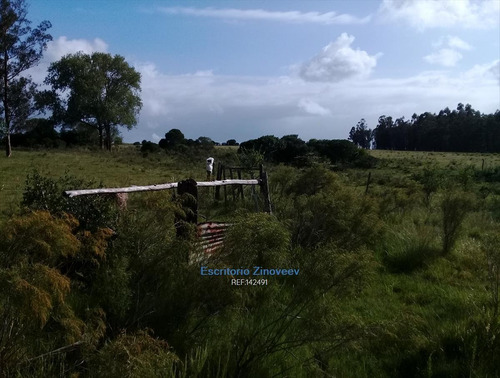 Chacra 7has Próxima A Piedras De Afilar En Canelones