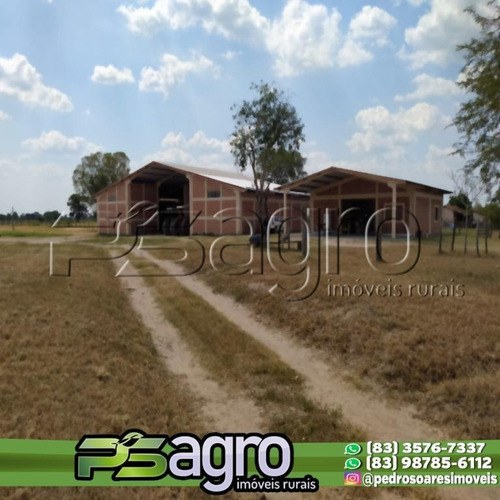 Imagem 1 de 8 de Fazenda À Venda, 3000 Hectares Por R$ 33.000.000 - Centro - Porto Murtinho/ms - Fa0129