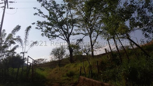 Imagen 7 de 15 de Finca En Venta Tinaquillo Cojedes Gav