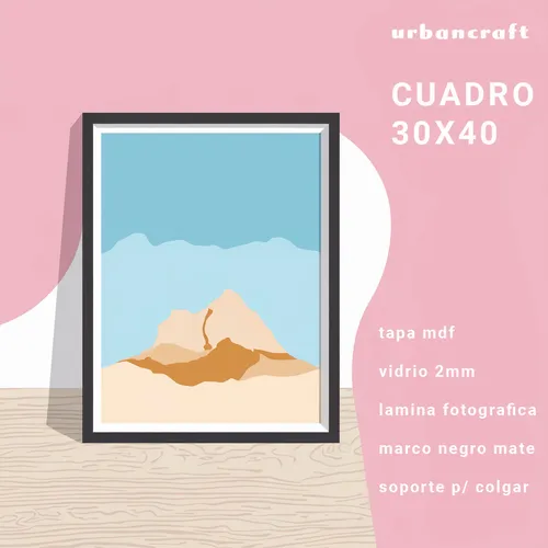 Cuadro The Ghost Writer Poster 30x40 C455
