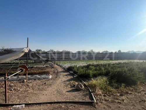 En Venta Terrenos En Itzamatitlán, A 10 Min. De Caseta De Oacalco, Morelos