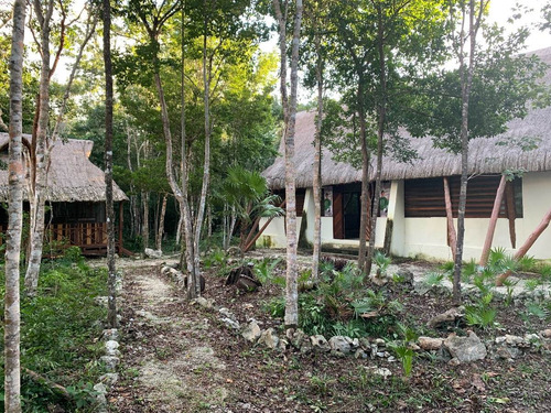 Imagen 8 de 11 de Propiedad En Puerto Morelos Ruta De Los Cenotes