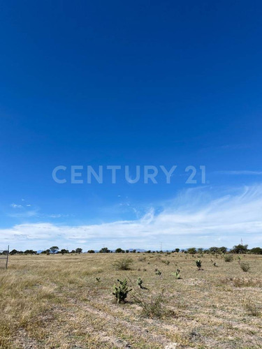 Lote En Venta En Predio El Águila, El Llano, Aguascalientes