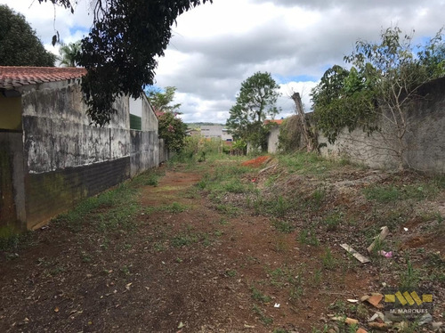 Imagem 2 de 2 de Em Mogi Moderno - Mogi Das Cruzes - 2621