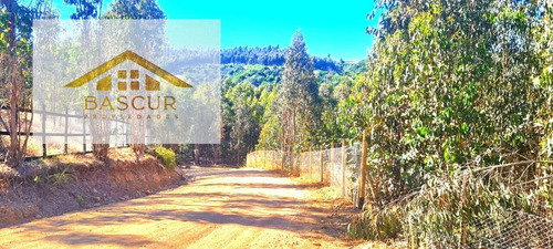 Venta De Sitio En Santa Rosa De Bucalemu