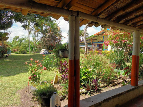 Imagen 18 de 30 de Venta De Finca En Pereira Vereda Combia .