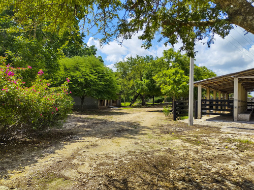 Venta De Rancho En Zona Ganadera De Yucatán, Con Cenotes, 453 Has