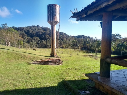 Imagem 10 de 14 de Sitio 5 Alqueires ( 121.000 M² ) Em Juquitiba-sp