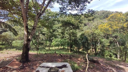Imagem 9 de 29 de Sete Barras/14 Alq/ Lago/nascente/ac/propostas/ref;05373
