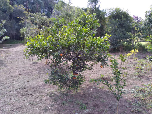 Terreno No Portal Das Aguas Pronto Para Construir .
