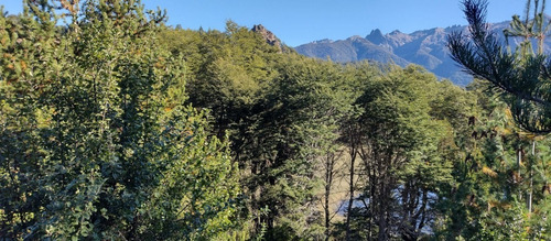 Imagen 14 de 14 de Venta En Bariloche Lote Sobre Costa Laguna Ezquerra Sector Lago Morenito Con Increíble Vista A Cerro López