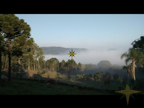 Imagem 1 de 12 de Sítio Com Excelente Localização - 484