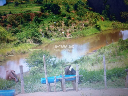 Imagem 17 de 28 de Fazenda Em Rio Preto Minas Gerais - 2044007423 - 67629041