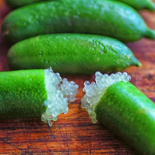 Limón Caviar Verde Ice + Mas Semillas