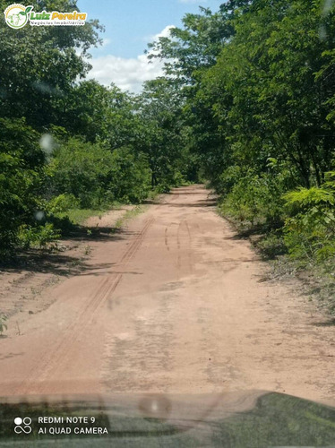Imagem 12 de 15 de Fazenda À Venda Em Grajaú - Ma - 11.000 Hectares (dupla Aptidão) - 2143