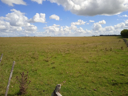 Campo De 140 Hectáreas Con Costa De Arroyo