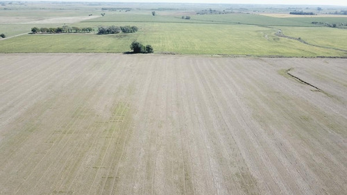 Imagen 5 de 23 de Campo - Alsina