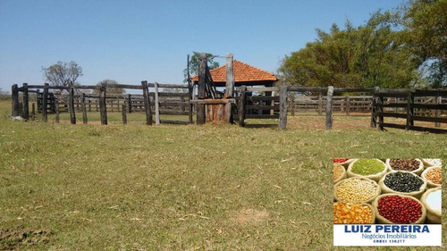 Imagem 6 de 7 de Fazenda À Venda Em Campo Grande - Ms - De 1.065 Hectares (pecuária) - 1658