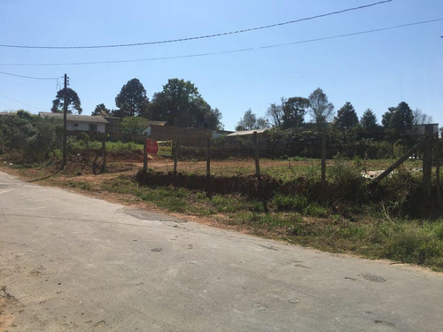 Imagem 2 de 5 de Área Industrial 2540 M² Por R$1.190.000,00 - Braga - São José Dos Pinhais/pr - Te0035