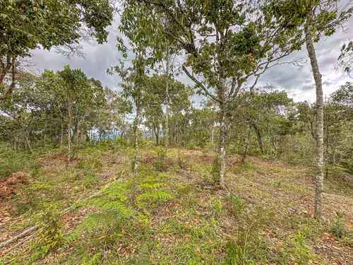 Lotes En Guarne Oportunidad Para Invertir