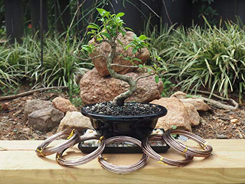 Rollos De Alambre De Aluminio Para Bonsai - 5 Medidas Marron
