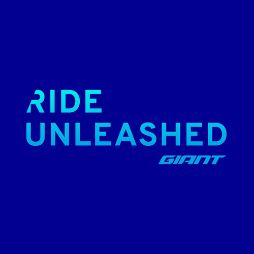 Jersey Remera Ciclismo Giant Podium Ar Transpirable