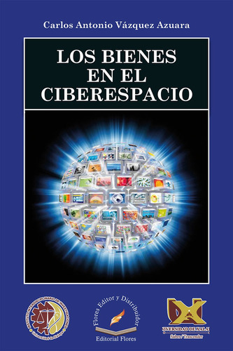 Bienes En El Ciberespacio, De Vazquez Carlos. Editorial Flores Editor Y Distribuidor, Tapa Blanda En Español, 2017