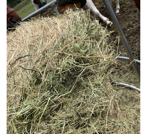 Fardo Avena Con Grano Raigras Moha Y Alfalfa