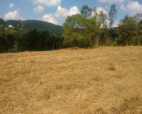 Chácara 5.000 M² - Lomba Grande - Novo Hamburgo - Rs - 1440 - 32419961