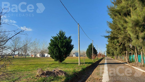 Imagen 5 de 11 de Venta Terreno En Pinares Del Sur - Oportunidad