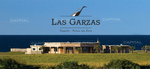 Imagen 3 de 8 de Oportunidad De Terreno En Las Garzas! - Las Garzas Las Garzas