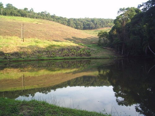 Sitio Em Ibiúna; 80.600 M2 Piscina, Lindo Lago, 02 Nascentes